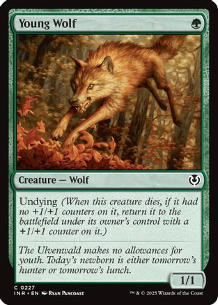 Young Wolf (INR-227) Foil
